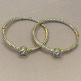 Brinco Argola Cravejada Pedra Redonda