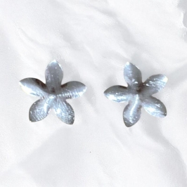 Brinco Flor Prata