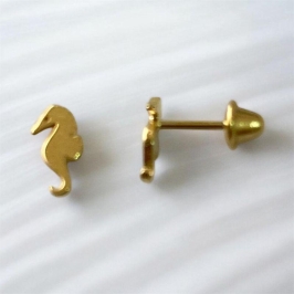 Brinco Cavalo Marinho Infantill