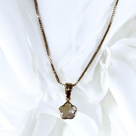 Colar Estrela Pontas Arrendondadas