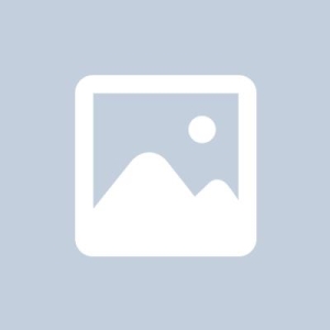 Brinco Brilhante Galho 2 folhas