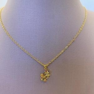 Gargantilha Pingente Cachorra Color