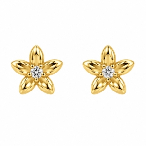 Brinco Flor Pino