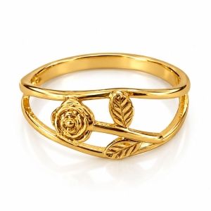 Anel Dois Aros Flor