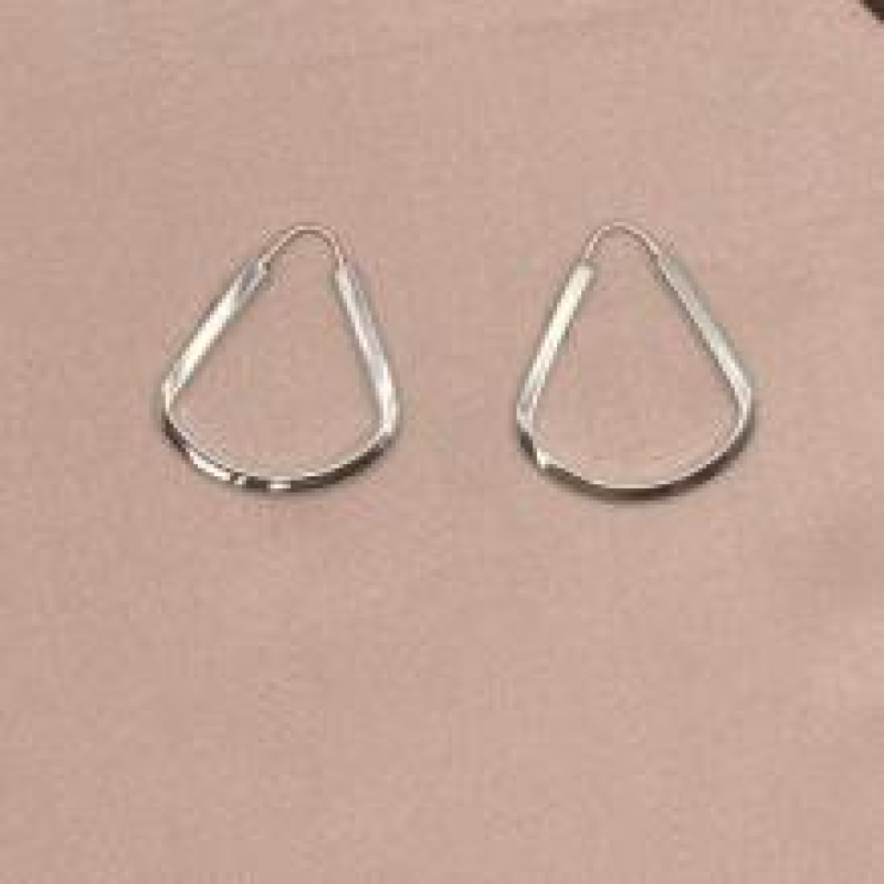 Brinco Argola Gota Prata 925