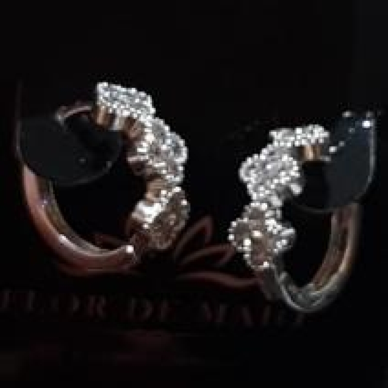 Brinco Argola Zirconias