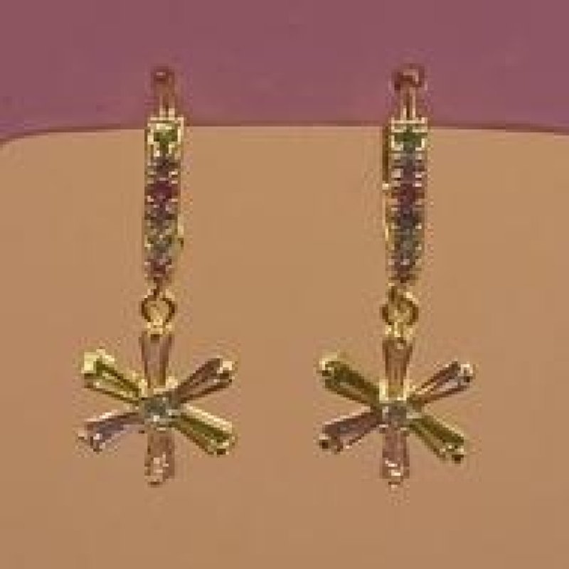 Brinco Argolinha Cravejada + Flor de Pedras Color