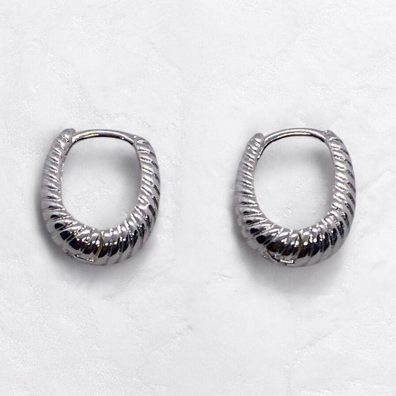 Brinco Argolinha Trabalhada Prata