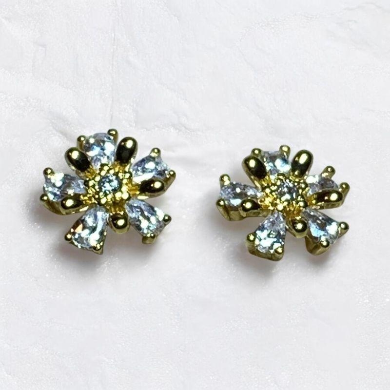 Brinco Flor Brilhante