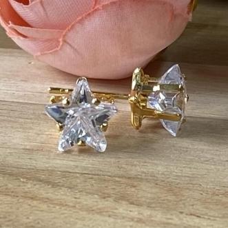 Brinco Brilhante Estrela