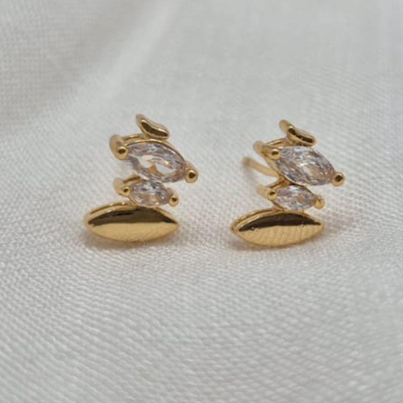 Brinco Dois Brilhantes