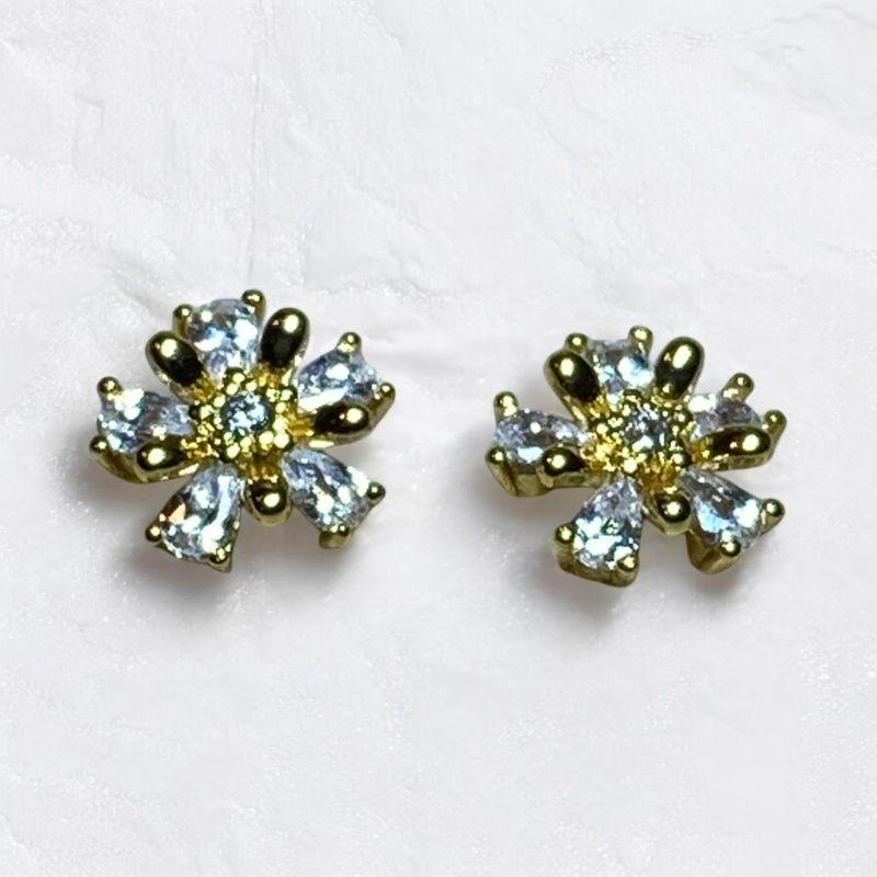 Brinco Flor Brilhante