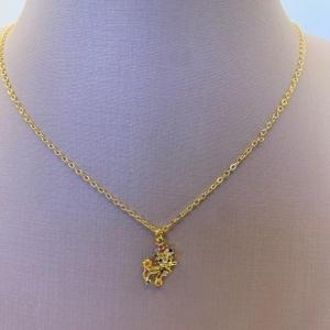 Gargantilha Pingente Cachorra Color